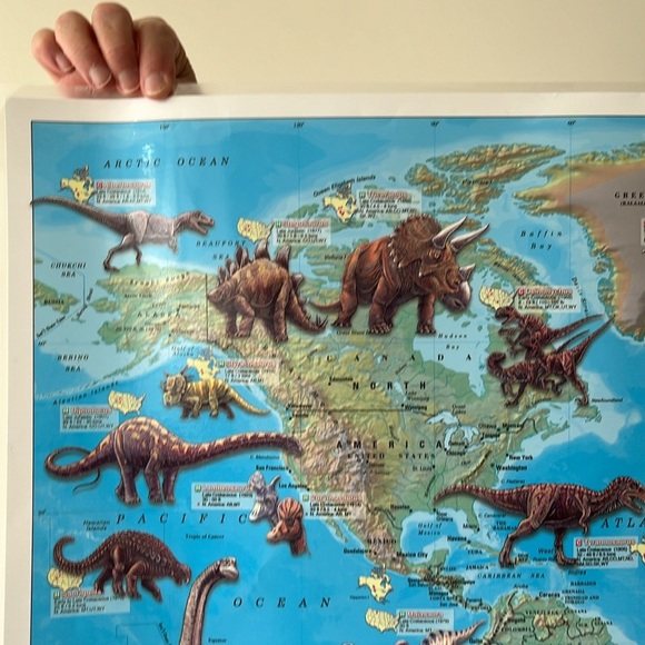 Dinosaur Map - Picture 4 of 7